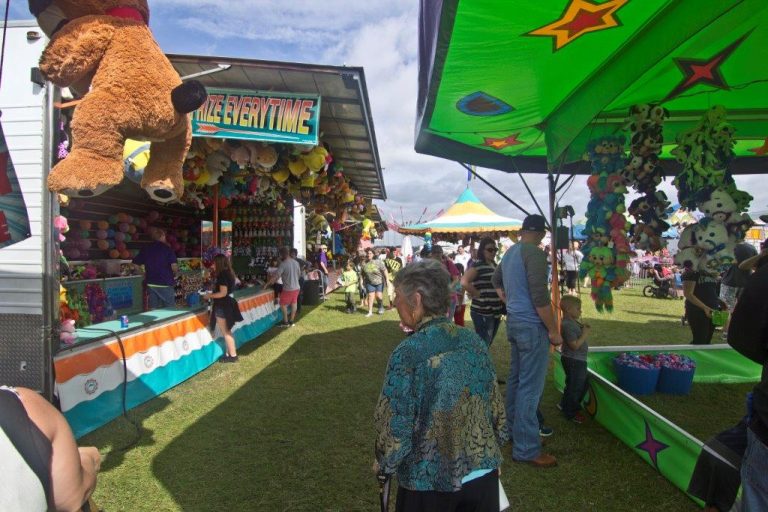 Amusement Rides New Bern Mumfest